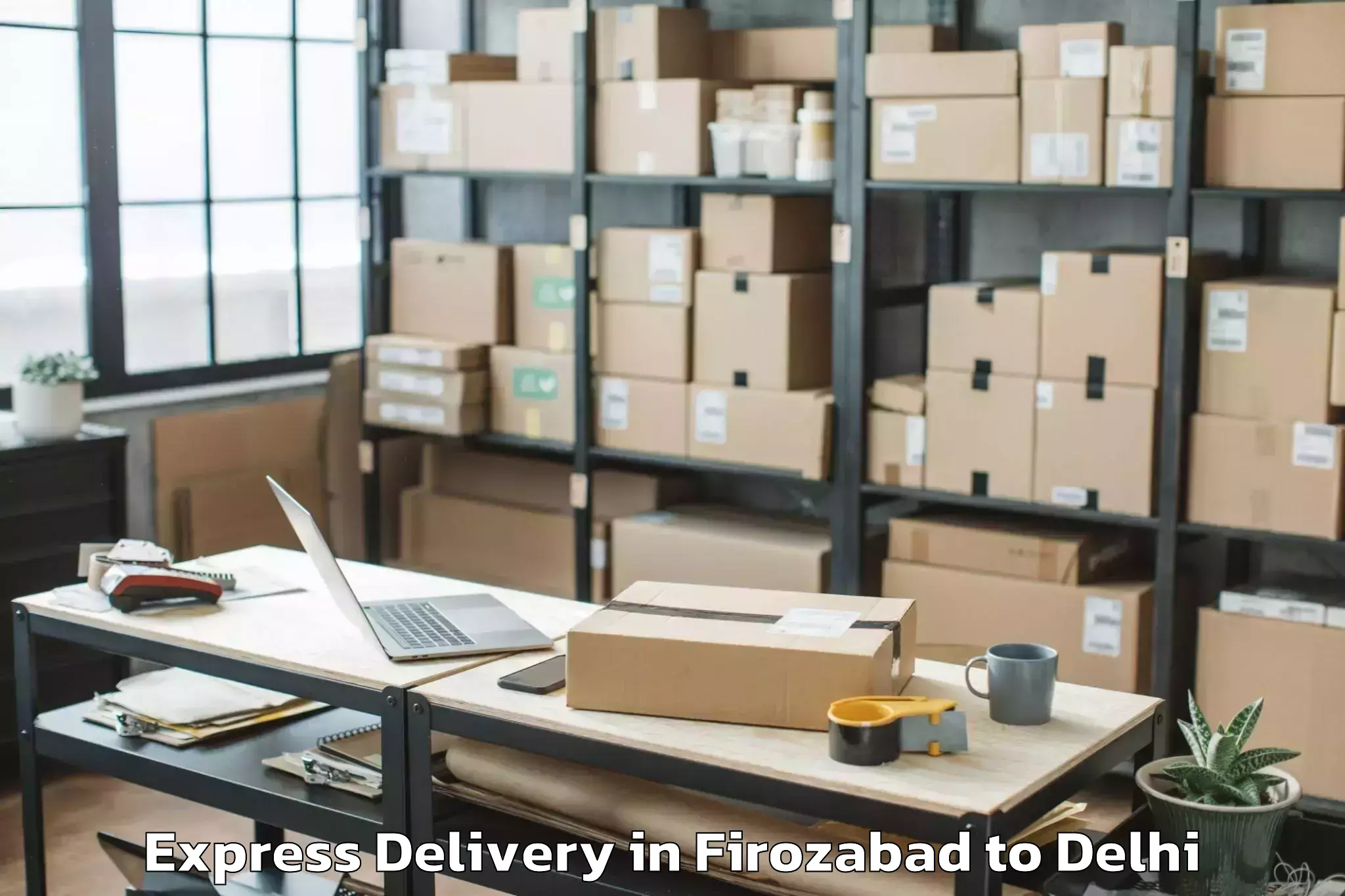 Top Firozabad to Pacific D21 Mall Express Delivery Available